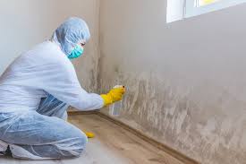 Best Forensic Mold Investigation  in Caney, KS