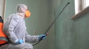 Best Asbestos and Lead Testing During Mold Inspection  in Caney, KS